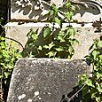 Braille headstone