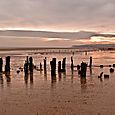 Winchelsea Beach