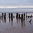 Winchelsea Beach