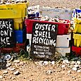 Oyster shell recycling