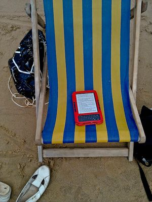 Kindle on deckchair