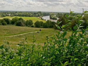 Petersham meadows