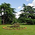 Flower bed and trees