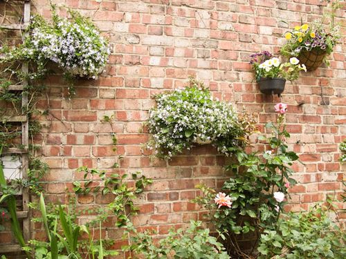 Wall planters