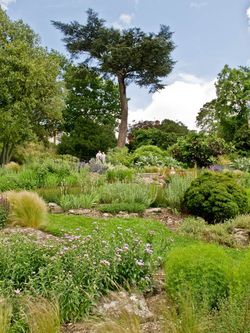 Rock garden