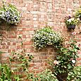 Wall planters