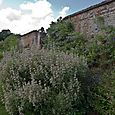 Walled garden