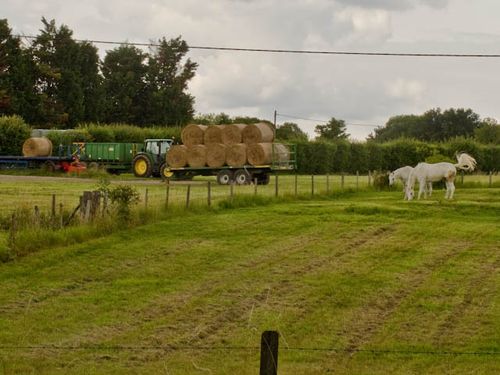 Bucolic London