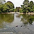 Pond and bridge