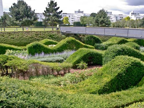 Sculpted hedges