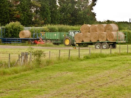 The Hay Wain