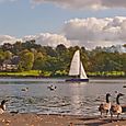 Wimbledon Park Lake