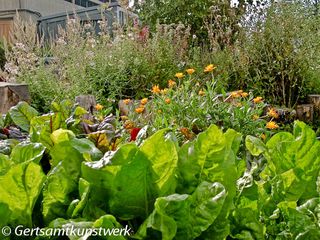 Rooftop garden