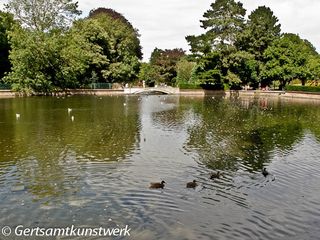 Pond and bridge