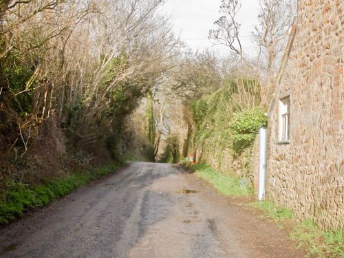 Country lane