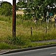 A path in London