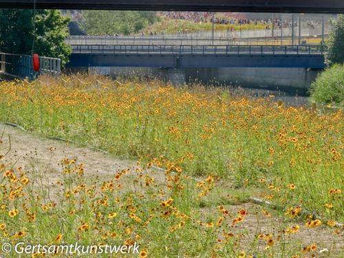 Wildflowers, bridge & crowds