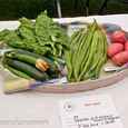 Collection of 4 distinct kinds of vegetable