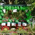 Watering cans for Alzheimers