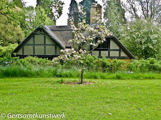 Thatched cottage