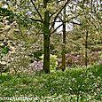Creeping through the undergrowth