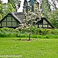 Thatched cottage