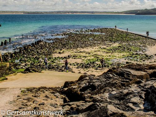 Rocks and seaweed