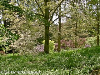 Creeping through the undergrowth