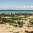 Groyne