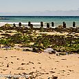 Groyne and seaweed