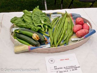 Collection of 4 distinct kinds of vegetable