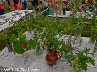 Herbs, 3 cultivars
