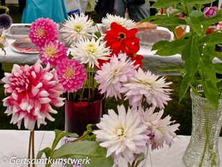 Pretty flowers