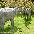 Elephants