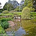 Water feature