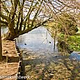 Waddon Ponds