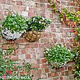 Wall baskets