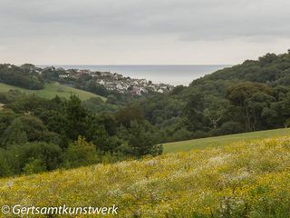 Mevagissey View