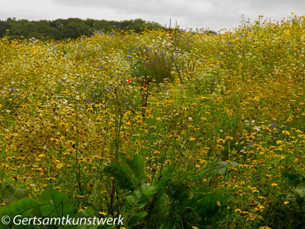 Gertsamtkunstwerk: Lost Gardens of Heligan