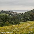 Mevagissey View