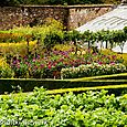 Long view of flower garden