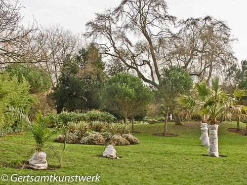 Subtropical garden