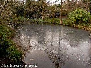 Pond ice