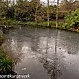 Pond ice