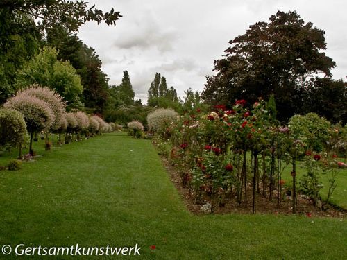 Beckenham cemetery