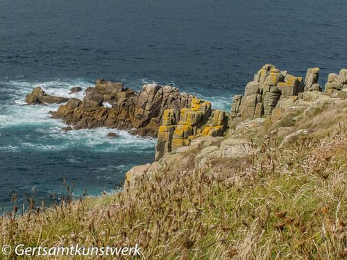 Lichen on rock