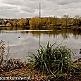 South Norwood Lake