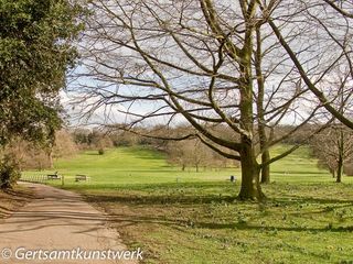 Scenery ruined by golf course