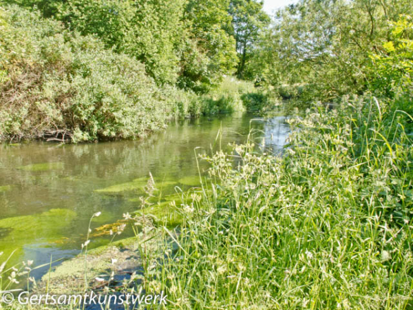 Gertsamtkunstwerk: The Wandle - Colliers Wood to Hackbridge