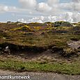 Coastal path